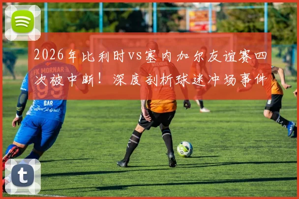 2026年比利时vs塞内加尔友谊赛四次被中断！深度剖析球迷冲场事件：安保漏洞、球员影响与处罚结果全解读